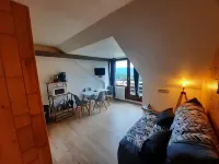 Charming studio cabin with mountain view Hotels in Muhlbach-sur-Munster