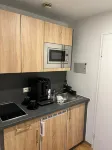 Rhine panorama suite with balcony