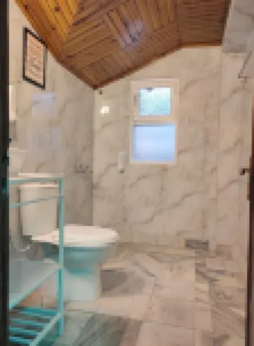 3 bedroom penthouse - Shimla