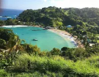 Charming 3-bedroom villa with WiFi, AC in fabulous Parlatuvier, Tobago Hotels in Parlatuvier