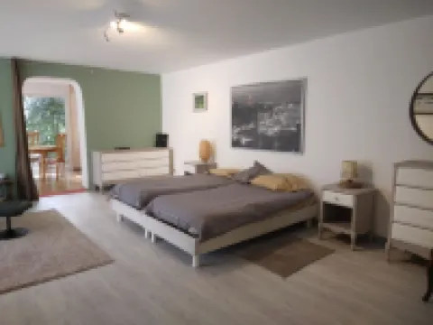 Large garden with swimming pool.