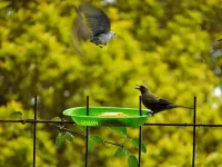 Amanecer Amazonico - Rustic cabin with Amazon rainforest view Hotels in Patate Canton