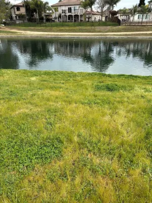 Lakeside Oasis \ Private 1 Bedroom 1 Bath near Yosemite Hotels in Chowchilla