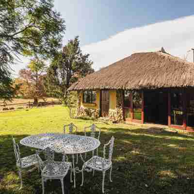 Ardmore Guest Farm Hotel Exterior