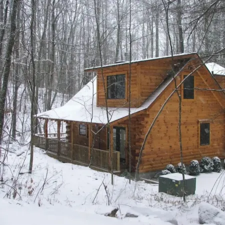 AMAZING & COZY LOG CABIN IN WOODS