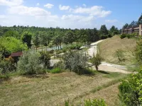 Apartment in Vinci with Pool & Wellness Hotels in Fucecchio