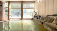 Sirogane Free Harbour Hotel - Hot Springs