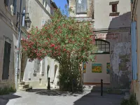 Elegant Mansion in Provence Hotels in Beaucaire