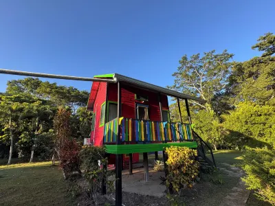 Lower Dover Jungle Lodge & Maya Ruins Hotels in 