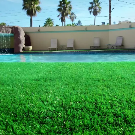 Hotel Corona Plaza