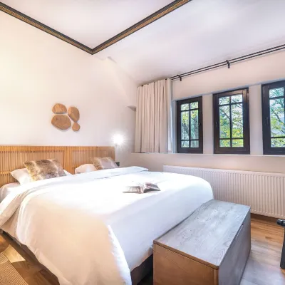 Chateau Sinaia Hotels near Peles Castle