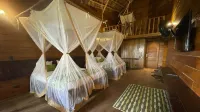On Vacation Amazon Hotels in 