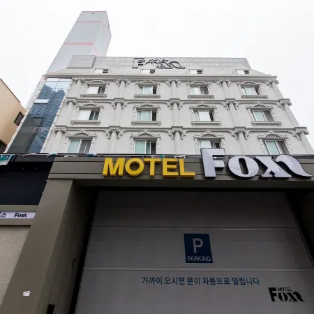 Daegu Dusan-Dong Fox