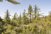 Dog Friendly A-Frame Hot Tub Nature Views - Lemmikkieläimet sallittu