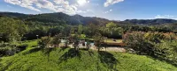Melabruna, Relax in collina a 15' dalle 5 Terre