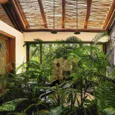 AVANA By White House International Rooms