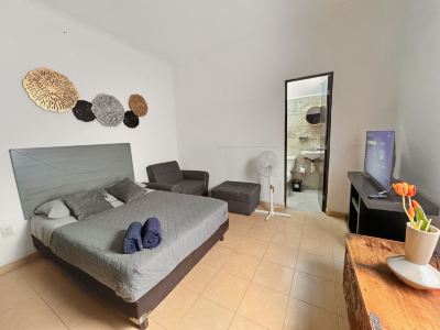 Lofts Tequisquiapan