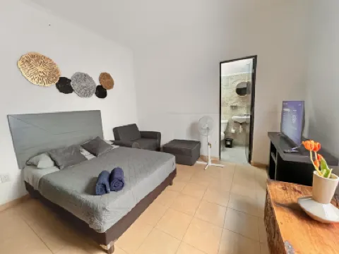 Lofts Tequisquiapan Hotels in 