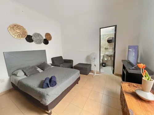Lofts Tequisquiapan - Wi-Fi