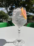 Hotel River Park - bar