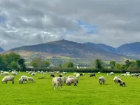 Cosy Farm Cottage on the Ring of Kerry