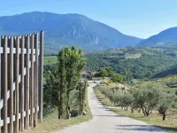 Casale Vecchio Abruzzo Countryside Spacious and Authentic Private Villa With Pool in an Olive Grove