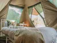 Khwai Mokoro Safaris and Campsites Hotels in Ngamiland North
