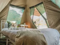 Khwai Mokoro Safaris and Campsites - Campgrounds