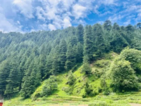 Barot Palace Hotels in Mandi District
