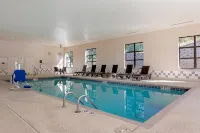 Comfort Inn & Suites Hot Springs Midtown - Bares