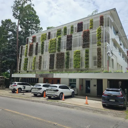 Vine and Canopy