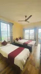 叢林前小屋 - B&B
