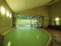 Nikko Astraea Hotel Hotels near Shirane Mountain
