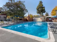 Comfort Inn Bishop Hotels in Bishop