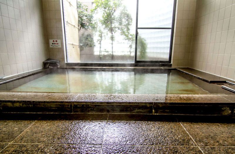 Hotel Hakone my Goura photo 5