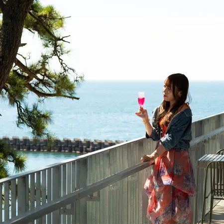 Toi Fujiya Hotel
