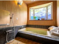 Healing Inn White Pension - Hot Springs