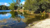 Unbeatable pool privacy ❤️ in a hidden tropical oasis close to Disney! - 3-Sterne
