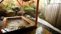 Nemurin Oriental - Suối nước nóng