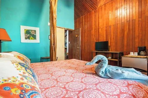 Quinta mi tata 1 of 4 shared bath - Wi-Fi