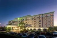 Beach and Town Motel - Motels