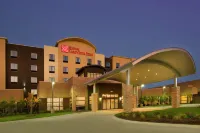 Hilton Garden Inn College Station - piscine