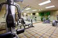 Holiday Inn Express & Suites Madison-Verona Hotels in Mount Horeb