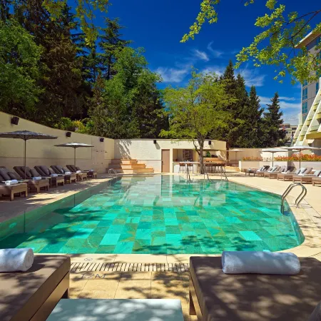 Sheraton Grand Tbilisi Metechi Palace