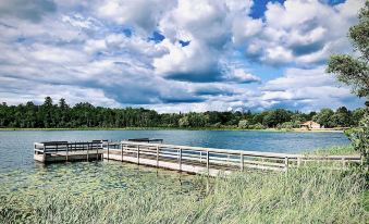 Forest Lake Motel - Housity