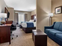 Comfort Suites Pell City Near Logan Martin Lake Hotels in St. Clair County