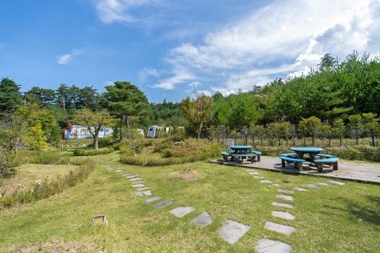 강릉 씨클라우드카라반펜션 대표 이미지