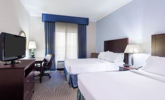 Holiday Inn Express & Suites New Iberia-Avery Island
