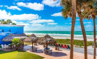 a tropical beach scene with umbrellas , chairs , and palm trees along the shoreline , creating a relaxing atmosphere at Belleair Beach Resort Motel