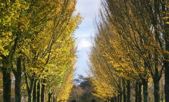 The Dunraven, Adare